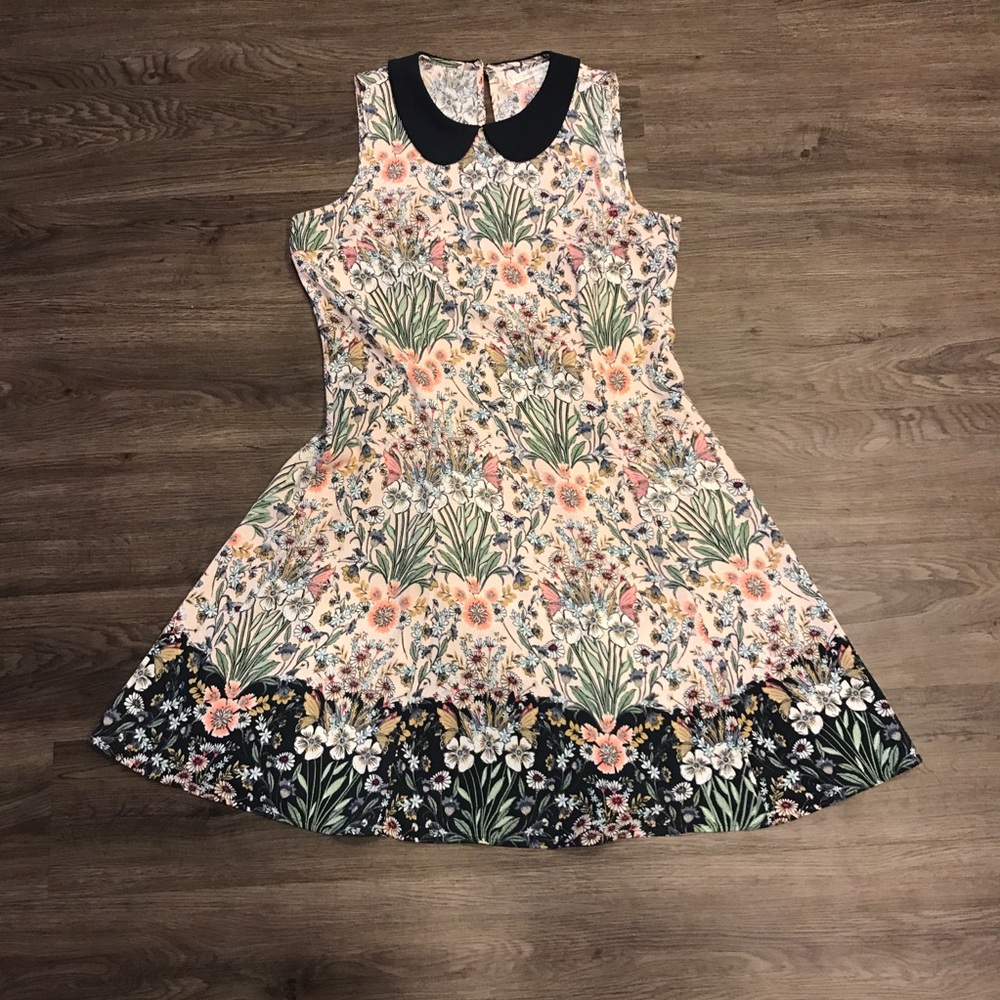 Lauren Conrad Peter Pan Collar A-Line Dress - Picture 3 of 4